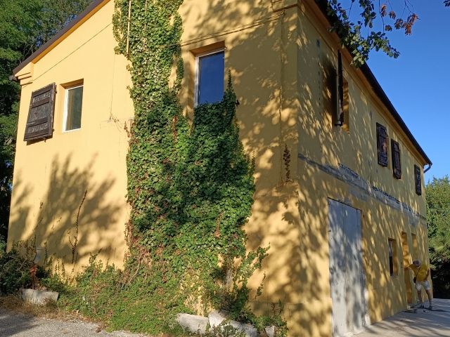 IMG20220720185527