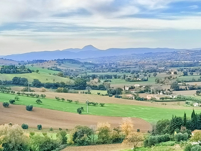 RUSTICO nella bellissima campagna di Monte Lupone 